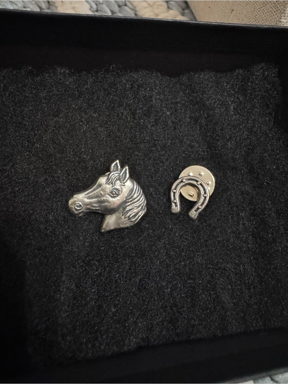 Vintage Western Horse Head & Horseshoe Lapel Pins – Set of 2